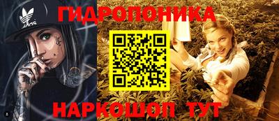 альфа пвп Заводоуковск