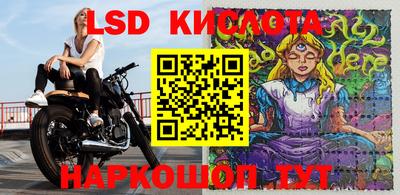 альфа пвп Заводоуковск