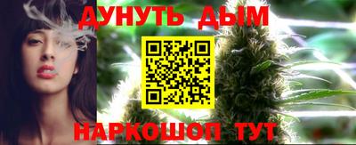 альфа пвп Заводоуковск