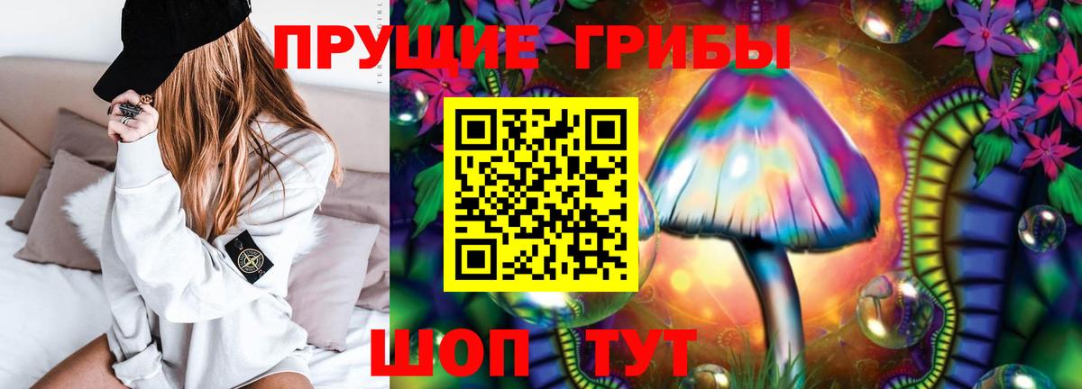 Железноводск  Псилоцибиновые грибы Psilocybe  Вход с VPN 