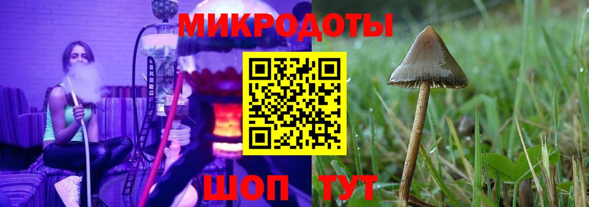Галлюциногенные грибы Magic Shrooms Железноводск